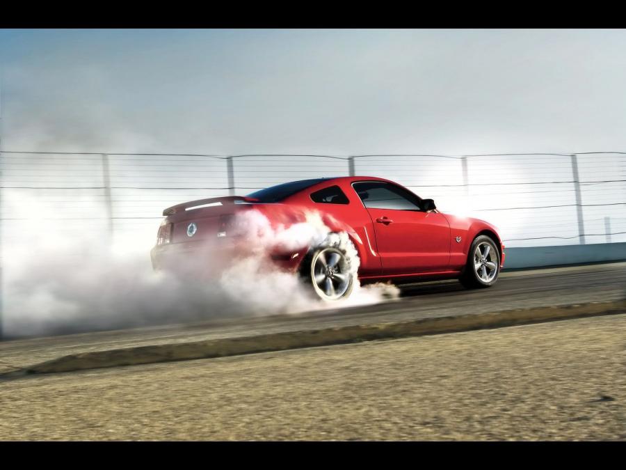  Ford Mustang 2009 года  (фото 11 из 12)